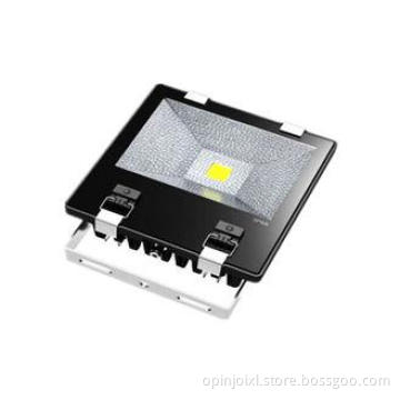 High Brightness 50 Watt COB LED Flood Light 240V in Purify